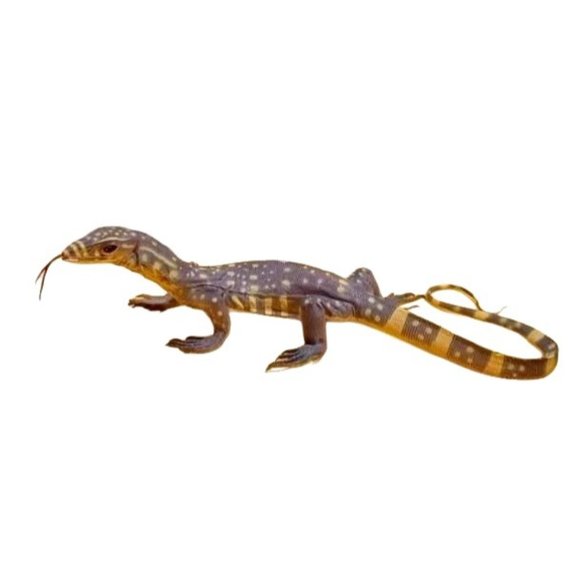 18" Monitor Lizard Replica  Realistic  Action Figure Toy - Picture 2 of 6